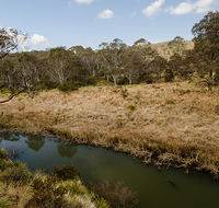 Werrikimbe National Park - Attractions Melbourne