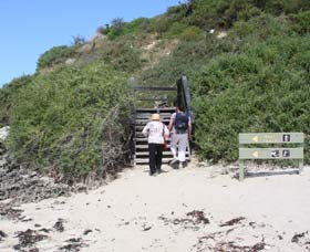 Penguin Island Boardwalks And Walk Trail - Attractions Melbourne 2