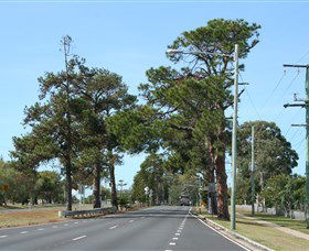 Anzac Memorial Avenue, Redcliffe - Attractions Melbourne 2