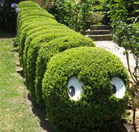 Nutcote - May Gibbs' Home - House Museum - Attractions Melbourne