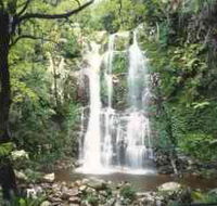 Budderoo National Park - The Falls Walk - Attractions Melbourne