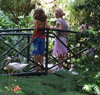 EG Waterhouse National Camellia Garden - Attractions Melbourne