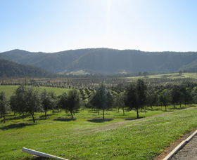 Hastings Valley Olives - Attractions Melbourne 0
