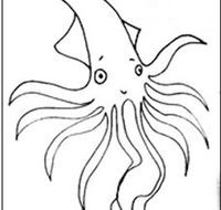 Squid Studio - Attractions Melbourne