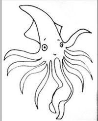 Squid Studio