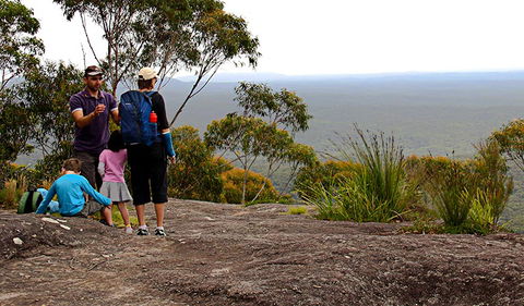 Pigeon House Mountain Didthul Walking Track - Attractions Melbourne 2