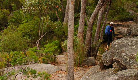 Pigeon House Mountain Didthul Walking Track - Attractions Melbourne 3
