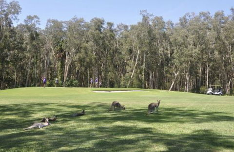 Emerald Downs Golf Course - Attractions Melbourne 4