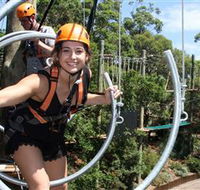 Wild Ropes at Taronga Zoo - Attractions Melbourne