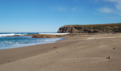 Wallarah National Park - Attractions Melbourne 0