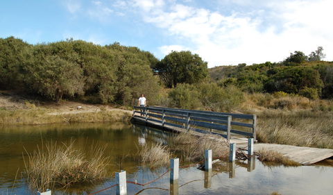 Wallarah National Park - Attractions Melbourne 1