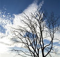 Nudgee Beach - Attractions Melbourne