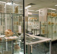 Museum of Human Disease - Attractions Melbourne