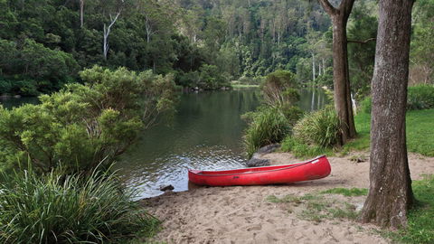 Nymboi-Binderay National Park - Attractions Melbourne 1
