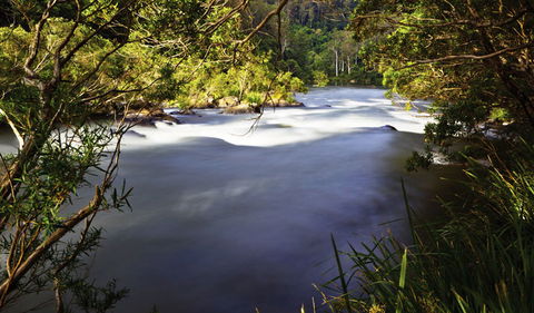 Nymboi-Binderay National Park - Attractions Melbourne 0
