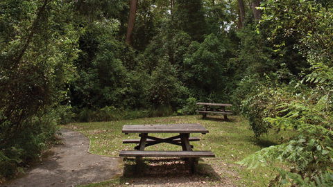 Nymboi-Binderay National Park - Attractions Melbourne 3