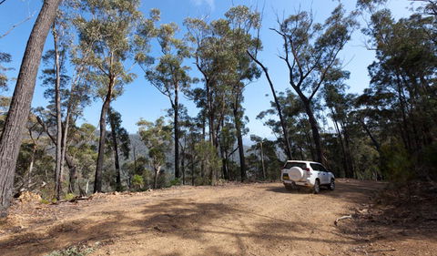 Wadbilliga Road Drive - Attractions Melbourne 0