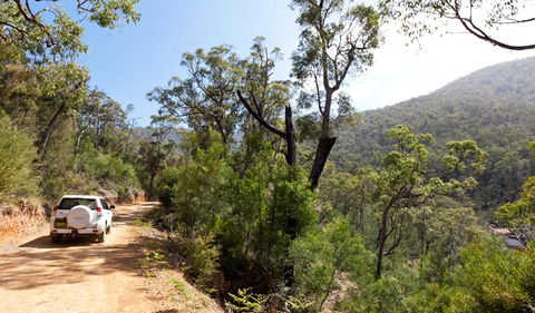 Wadbilliga Road Drive - Attractions Melbourne 1