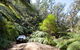 Wadbilliga Road Drive - thumb 3