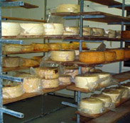 Harvey Cheese - Attractions Melbourne