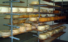 Harvey Cheese - Attractions Melbourne 0