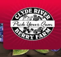 Clyde River Berry Farm - Attractions Melbourne