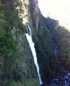Ellenborough Falls - Attractions Melbourne 0