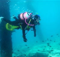 Shellharbour Scuba  Photography Centre - Attractions Melbourne