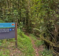 Red Cedar loop - Attractions Melbourne