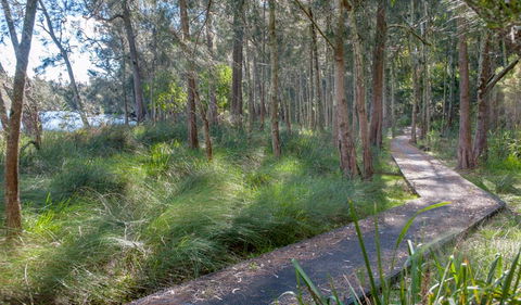 Anabranch Loop Track - Attractions Melbourne 3