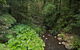 Brindle Creek Picnic Area - thumb 1