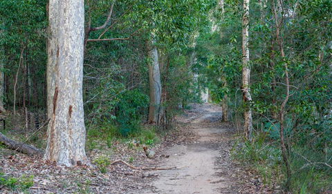 Delta Track - Attractions Melbourne 0