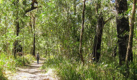 Seven Mile Beach National Park - Attractions Melbourne 2