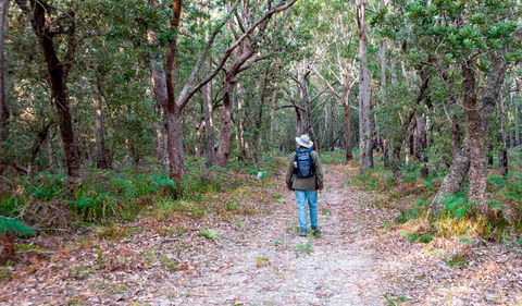 Narrawallee Inlet Walking Track - Attractions Melbourne 1