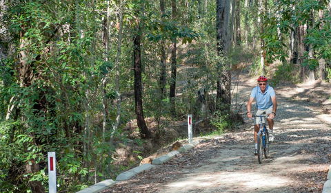Monument Beach Ride From Bendalong - Attractions Melbourne 2