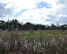 Jabiru Geenbeebeinga Wetlands - Attractions Melbourne 1