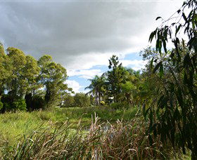 Jabiru Geenbeebeinga Wetlands - Attractions Melbourne 2