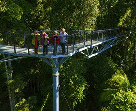 Tamborine Rainforest Skywalk - Attractions Melbourne 1