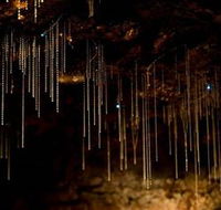 Tamborine Mountain Glow Worm Caves - Attractions Melbourne
