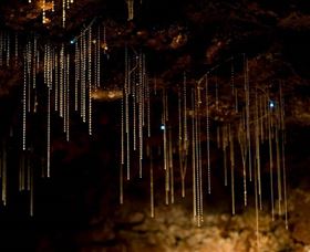 Tamborine Mountain Glow Worm Caves - Attractions Melbourne 0