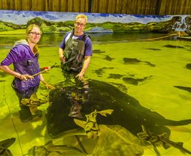 Irukandji Shark And Ray Encounters - Attractions Melbourne 3