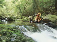Lower Ballanjui Falls