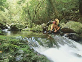 Lower Ballanjui Falls - Attractions Melbourne 0