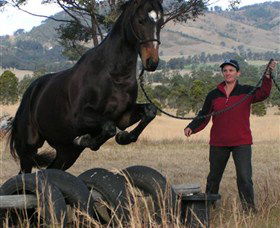 Kings Creek Saddle Club - Attractions Melbourne 5