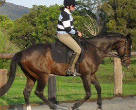 Kings Creek Saddle Club - Attractions Melbourne 6
