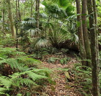 Durras Lake Discovery trail - Attractions Melbourne