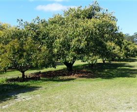 The Avocado Farm - Attractions Melbourne 1