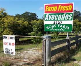 The Avocado Farm - Attractions Melbourne 3