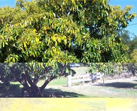 The Avocado Farm - Attractions Melbourne 2