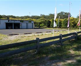 The Avocado Farm - Attractions Melbourne 4